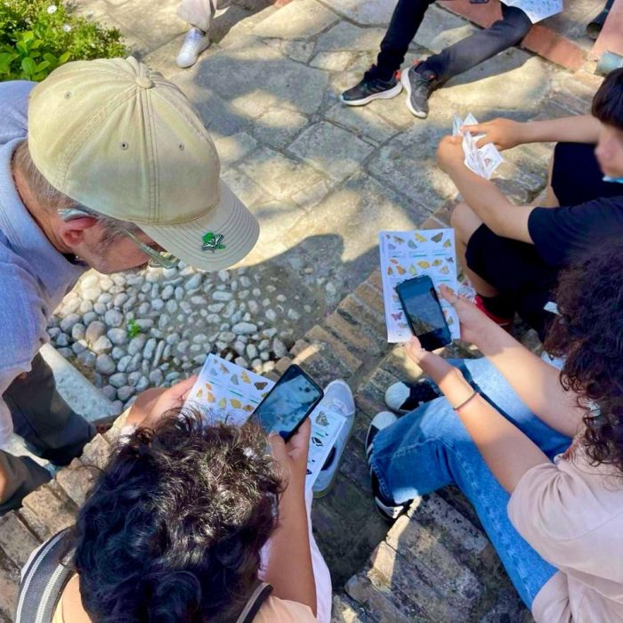 Πρόσκληση εκδήλωσης ενδιαφέροντος για τη θέση: Corfu Butterfly Conservation Educational Outreach Officer