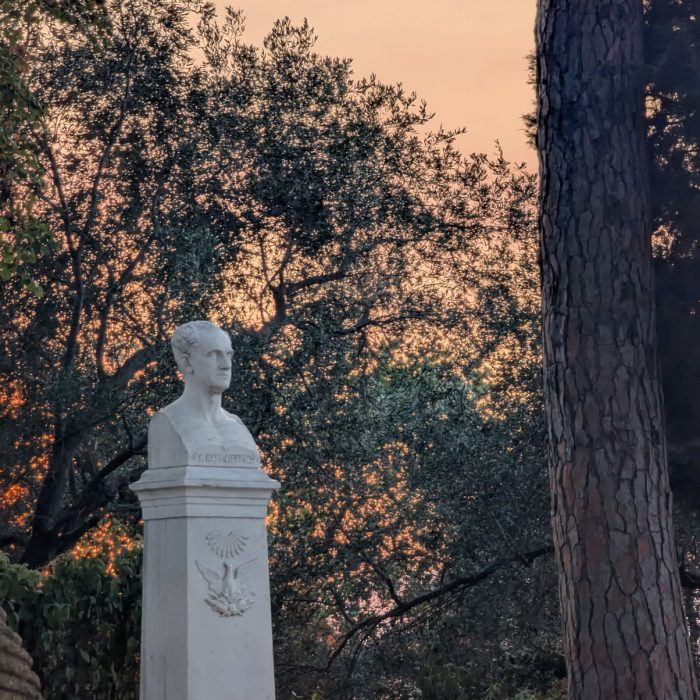 Under the Pines: Fridays at Koukouritsa